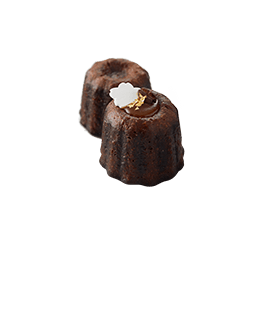 õ�� �ж����� ���õ� ������ ���� ���� ����Ʈ �۽�Ʈ ���