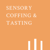 ��Ȳ�� ��濡 �׷����� �׷��� �Ϸ���Ʈ