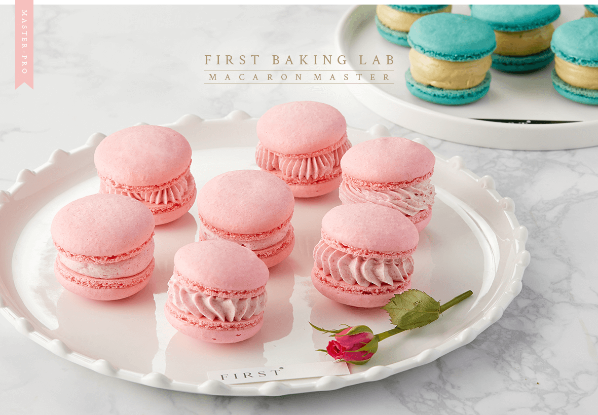 ���� ��ī�հ� ��Ʈ ��ī���� �÷�����