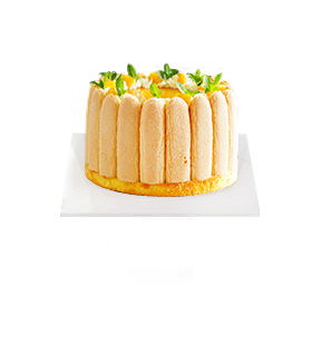 ��Ŷ���� �������� �ڸ��� �����ζ�