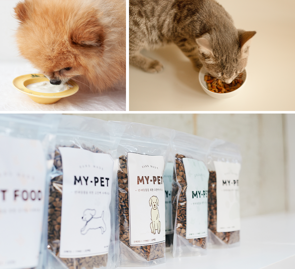 ���� ���ĺ��� ������ �Ĵܱ����� �Դ� ������