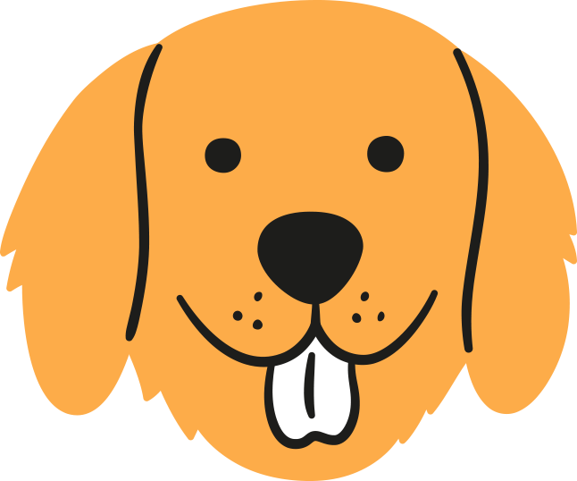 ������Ǫ�� ������ ��